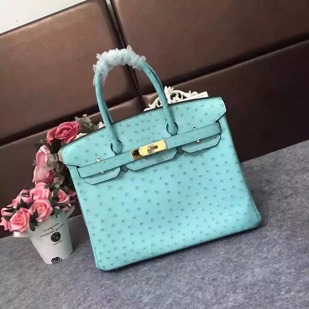 Top hermes genuine 100% ostrich leather handmade birkin 35 bag K350 sky blue