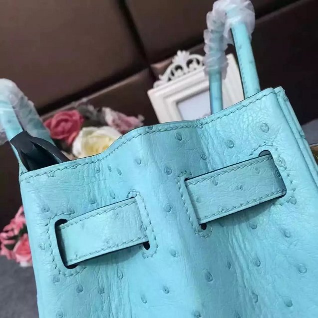 Top hermes genuine 100% ostrich leather handmade birkin 35 bag K350 sky blue