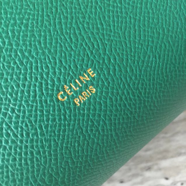 Celine original grained calfskin micro belt bag 189153  green