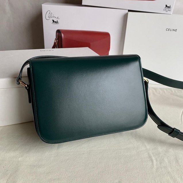 2019 Celine original calfskin medium triomphe bag 187363 green