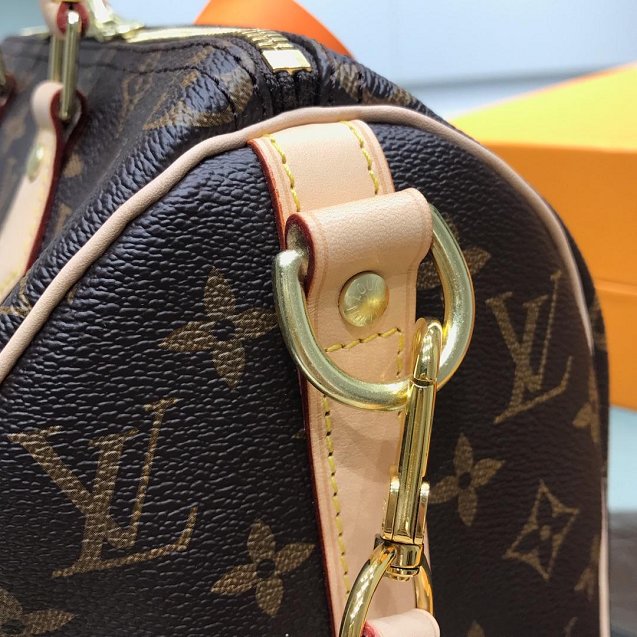 Louis vuitton original handmade monogram canvas speedy 25 M41113