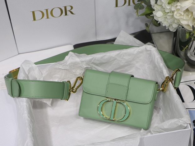 Dior original box calfskin mini 30 montaigne bag M9204 mint green