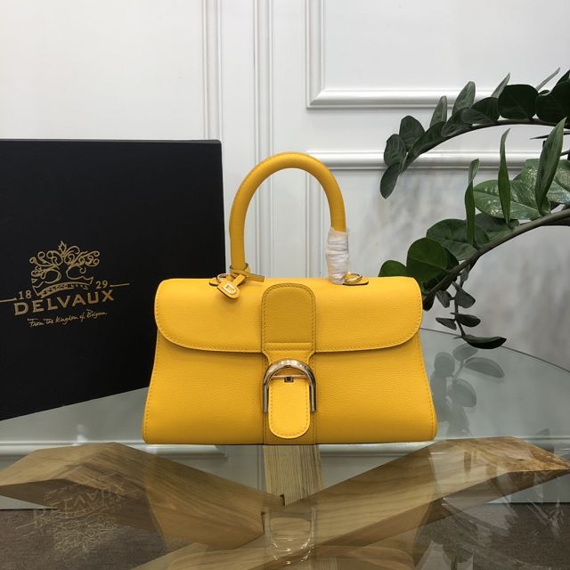 Delvaux original grained calfskin brillant small bag AA0417 yellow