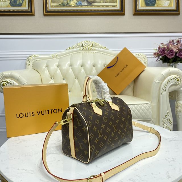 Louis vuitton original monogram canvas speedy 25 M41113