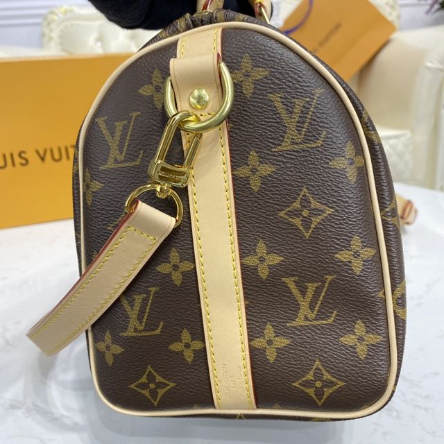 Louis vuitton original monogram canvas speedy 25 M41113