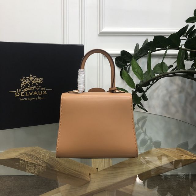 Delvaux original box calfskin brillant mini bag AA0406 brown