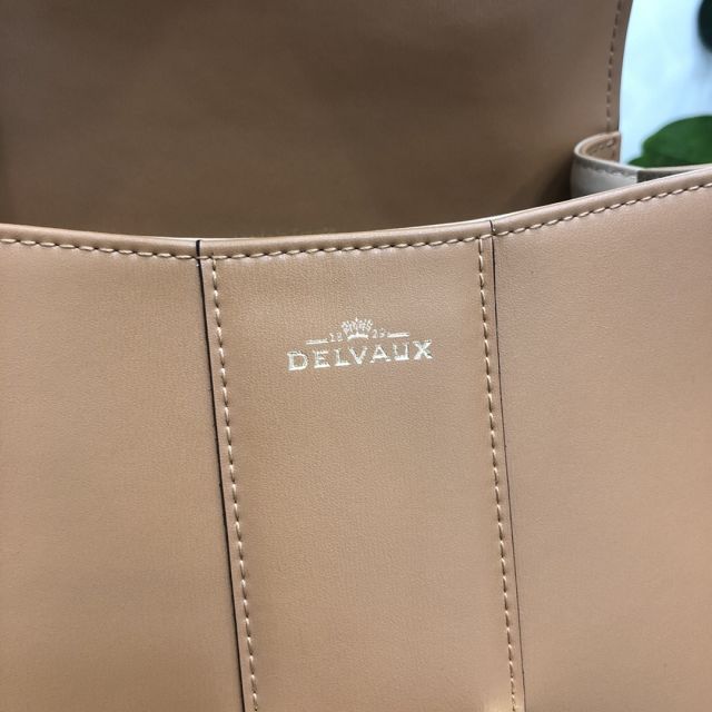 Delvaux original box calfskin brillant mini bag AA0406 brown