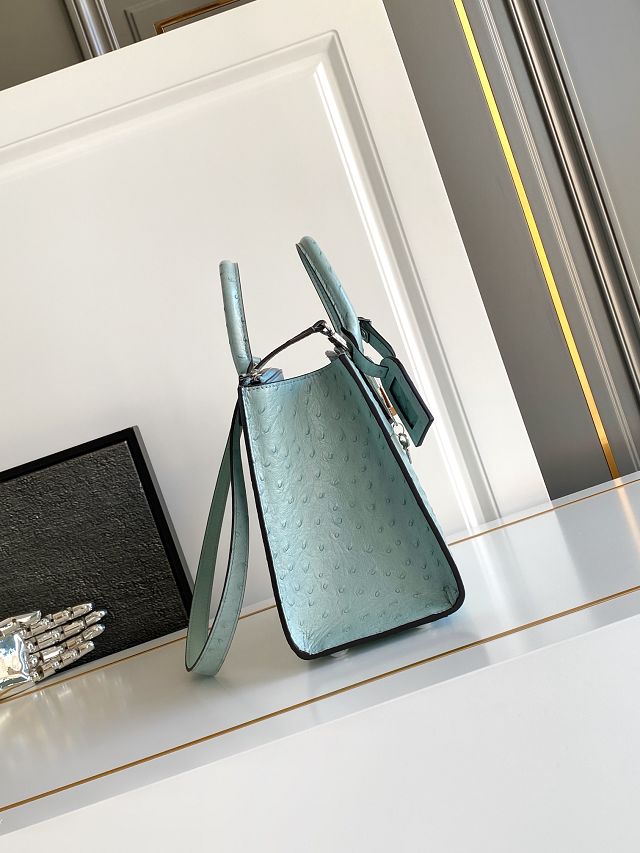 Louis vuitton original ostrich calfskin city steamer mm bag M84079 blue