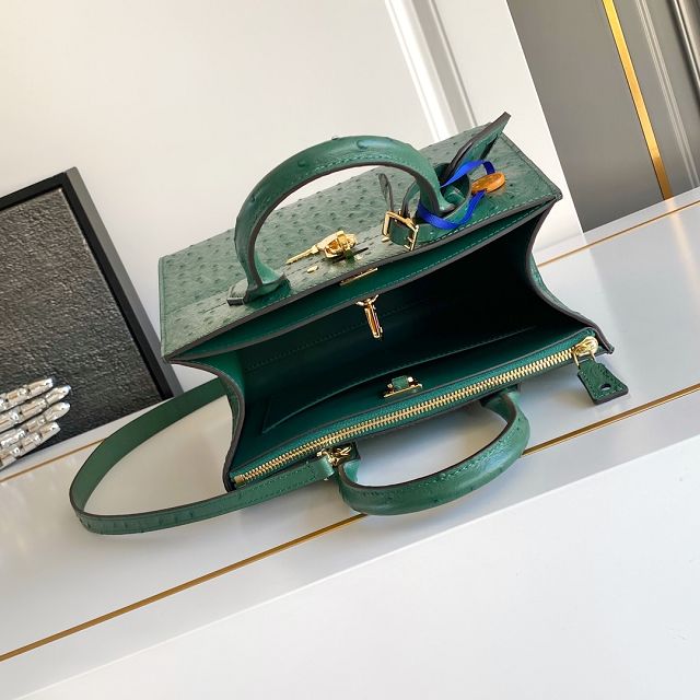 Louis vuitton original ostrich calfskin city steamer mm bag M84079 green