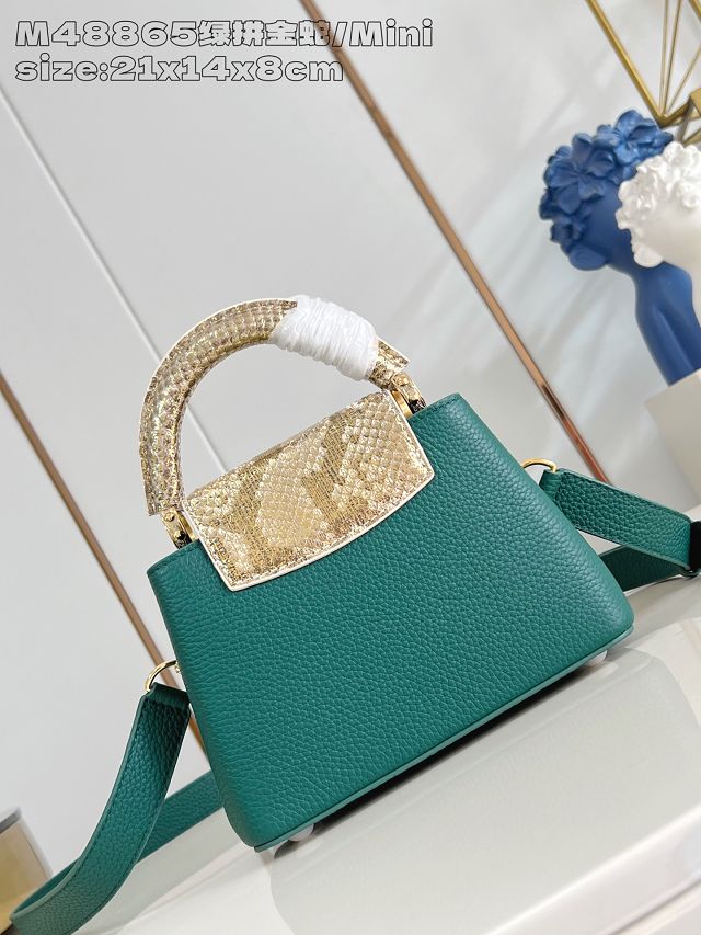 Louis vuitton original calfskin capucines mini handbag N85517 green