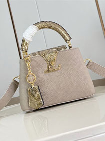 Louis vuitton original calfskin capucines mini handbag N85517 grey