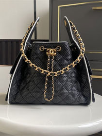 CC original raffia 25 small handbag AS5293 black